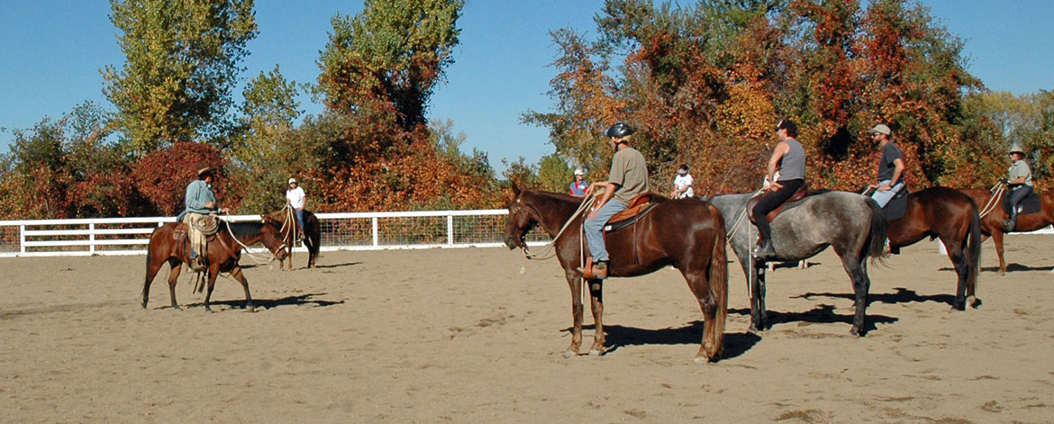 Horsemanship Classes
